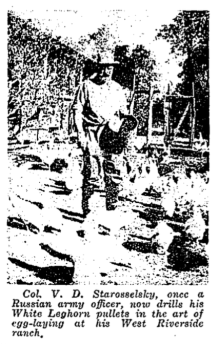 Screen Shot 2016-02-15 at 5.58.18 PM